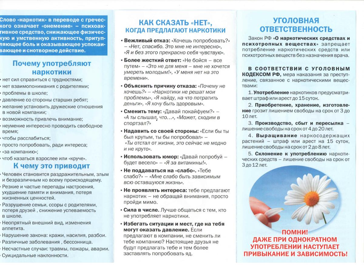 План мероприятий по профилактике наркомании в учебных заведениях